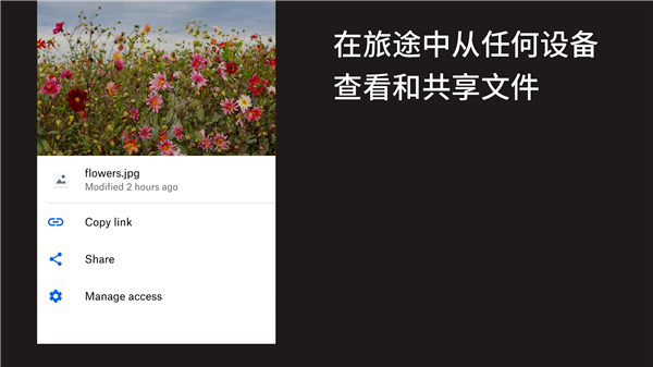 Dropbox网盘手机版