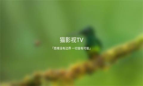 猫影视TV破解版