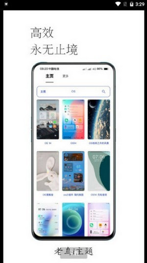 老鸟i主题手机版